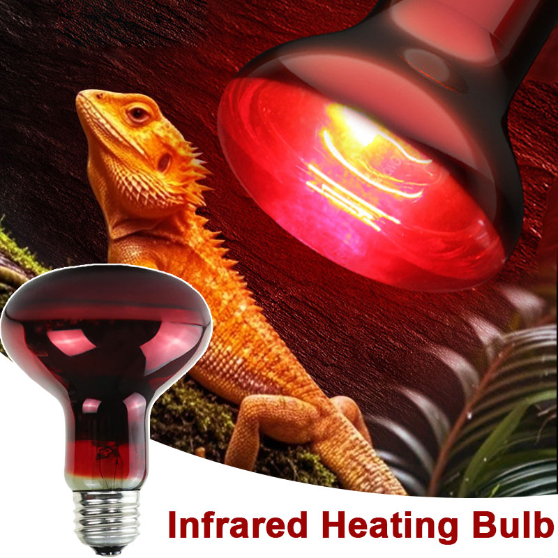 Żarówka grzewcza dla gadów 100 – Gecko Lighting & Decor recenzja i cena