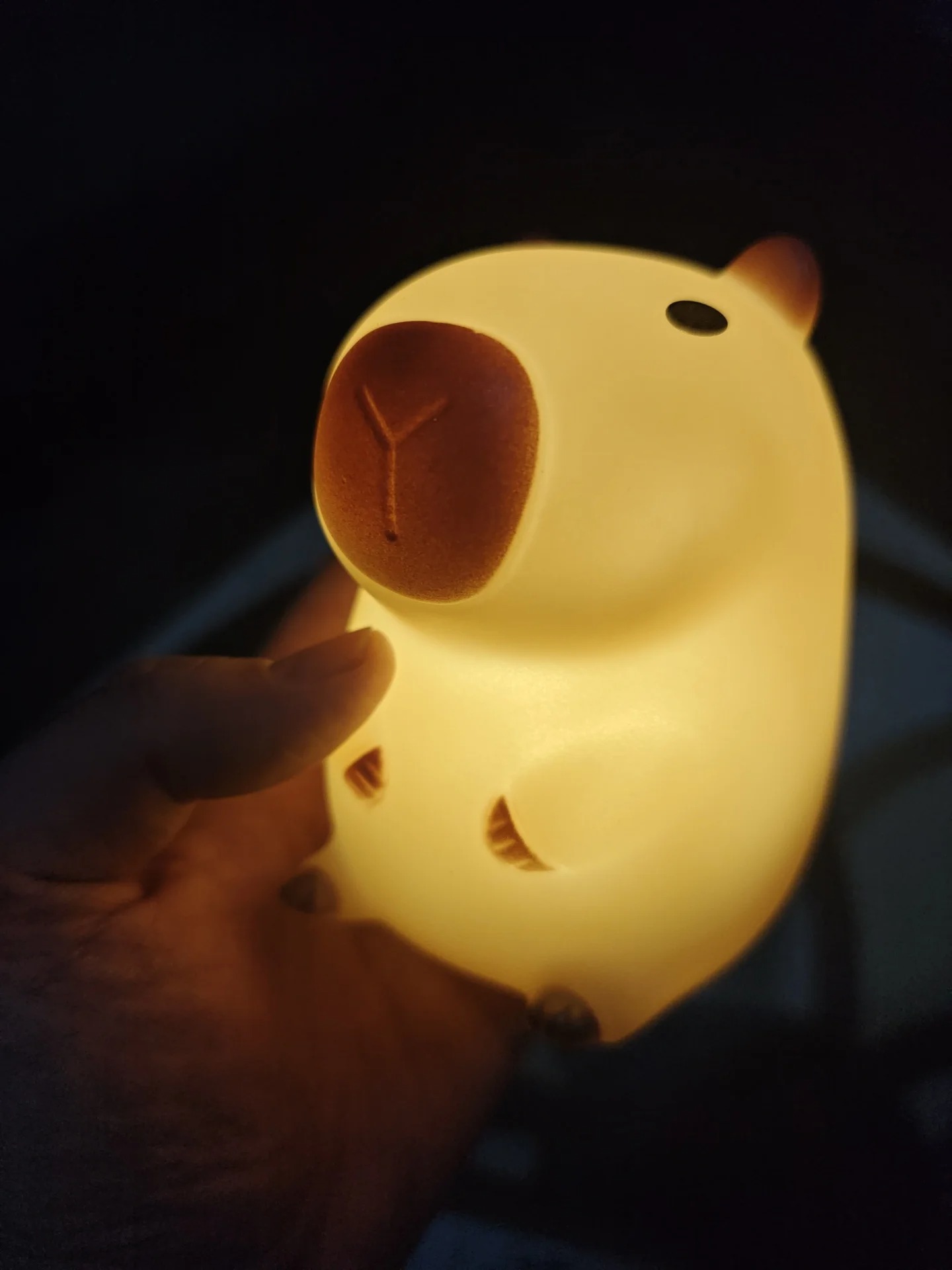 Urocza lampka nocna w kształci – Decor Lighting Sales recenzja i cena