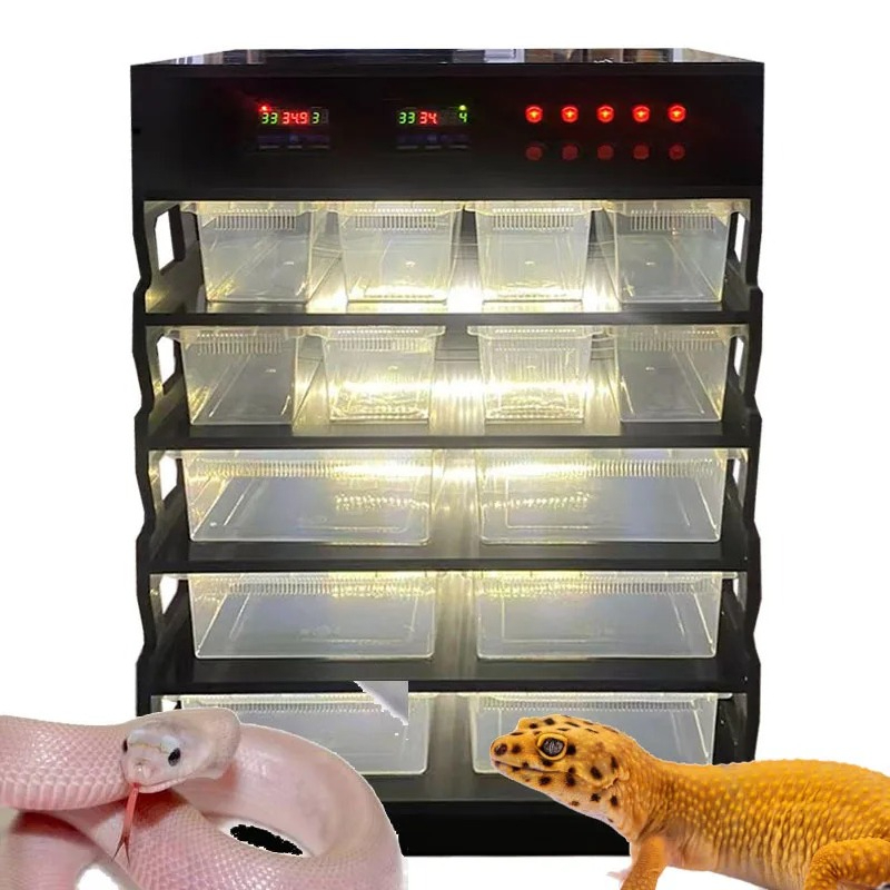 Inteligentne meble dla gadów z – Gecko Lighting & Decor recenzja i cena