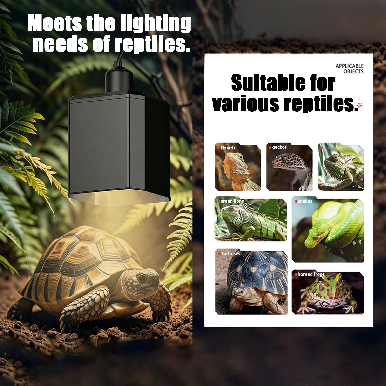 Osłona lampy grzewczej dla gad – Gecko Lighting & Decor recenzja i cena